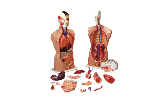 example image